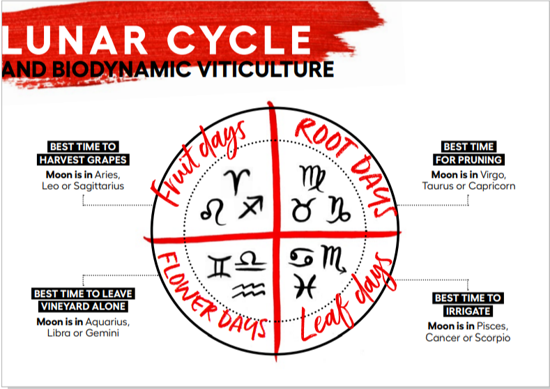 Biodynamics decribed on the Wine Australia website