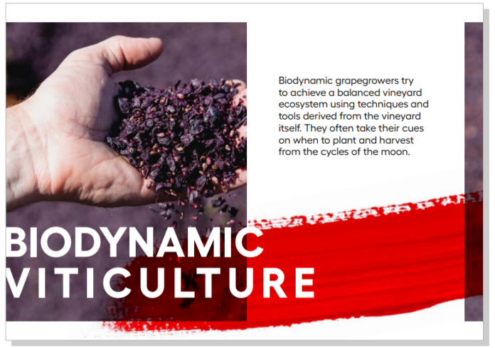 Wine Australia explains biodynamic viticulture