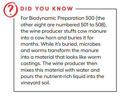 Wine Australis'a description of the miracle of biodynamics