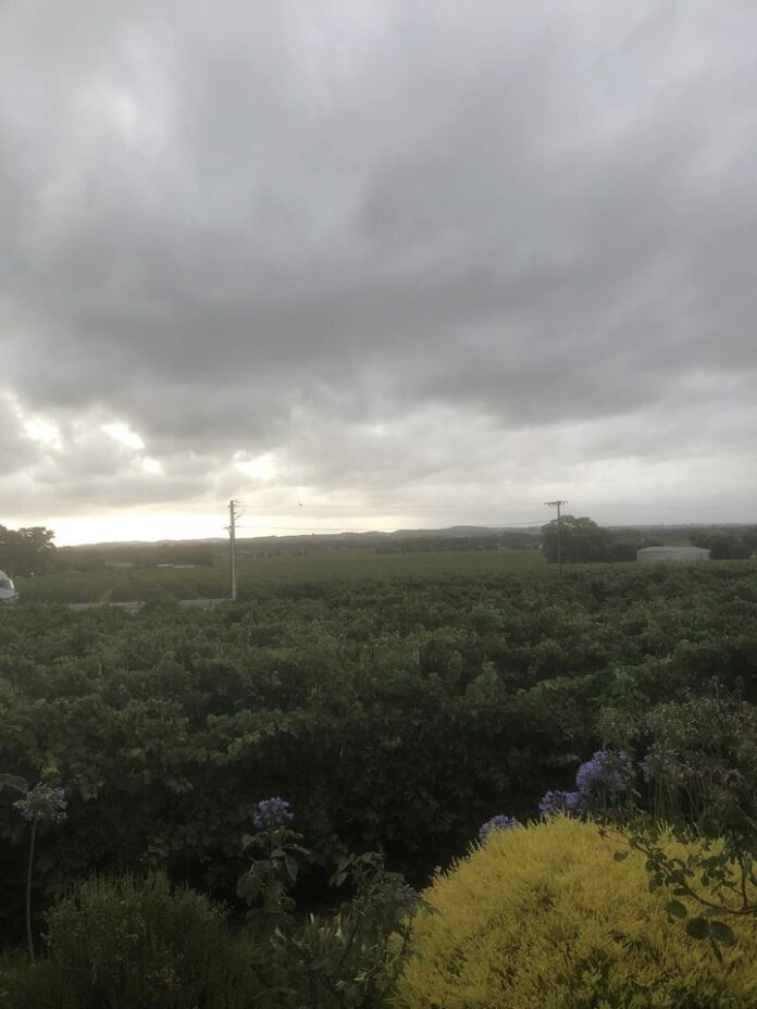 Grey skies over the Barossa