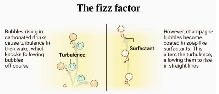 champagne bubbles rise in straight lines while those for cola are wonky