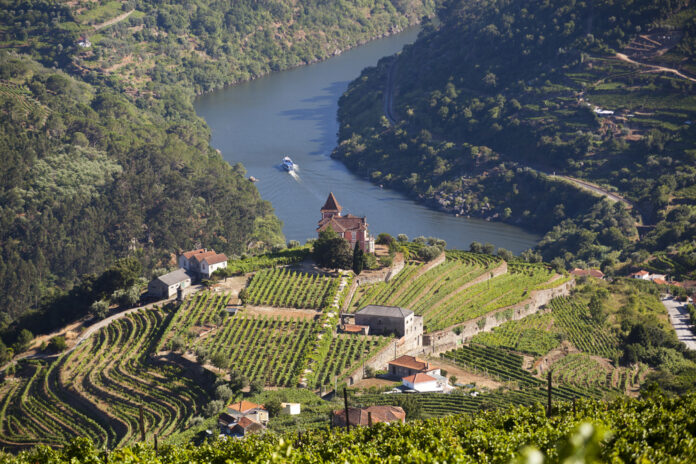 Over production of grapes strikes the port makers of Douro
