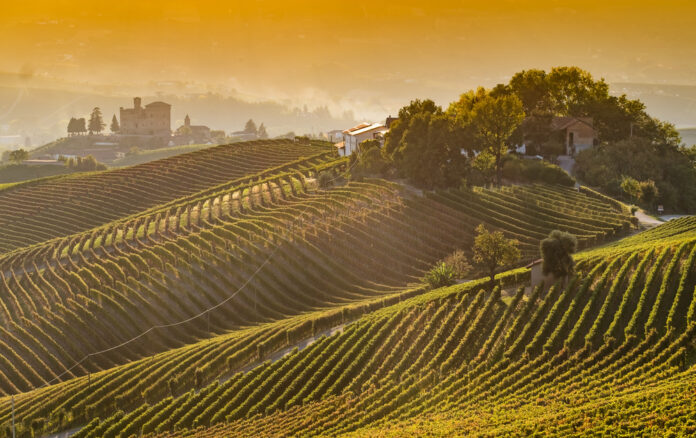 Vineyards-in Piedmont's Langhe region-with Grinzane Cavour Castle